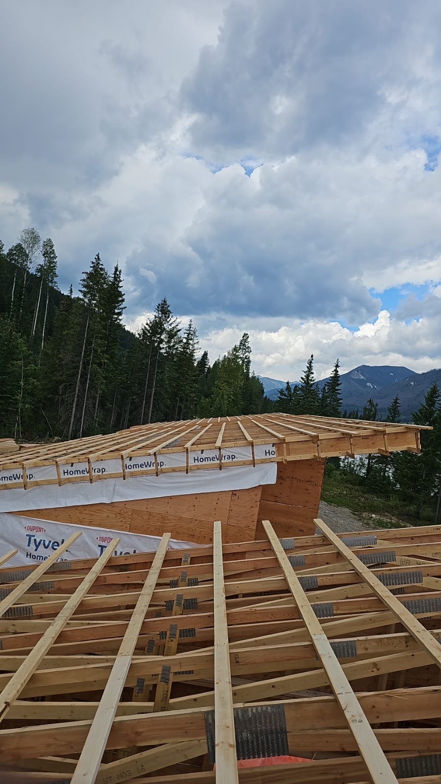Roof joists with a mountain view